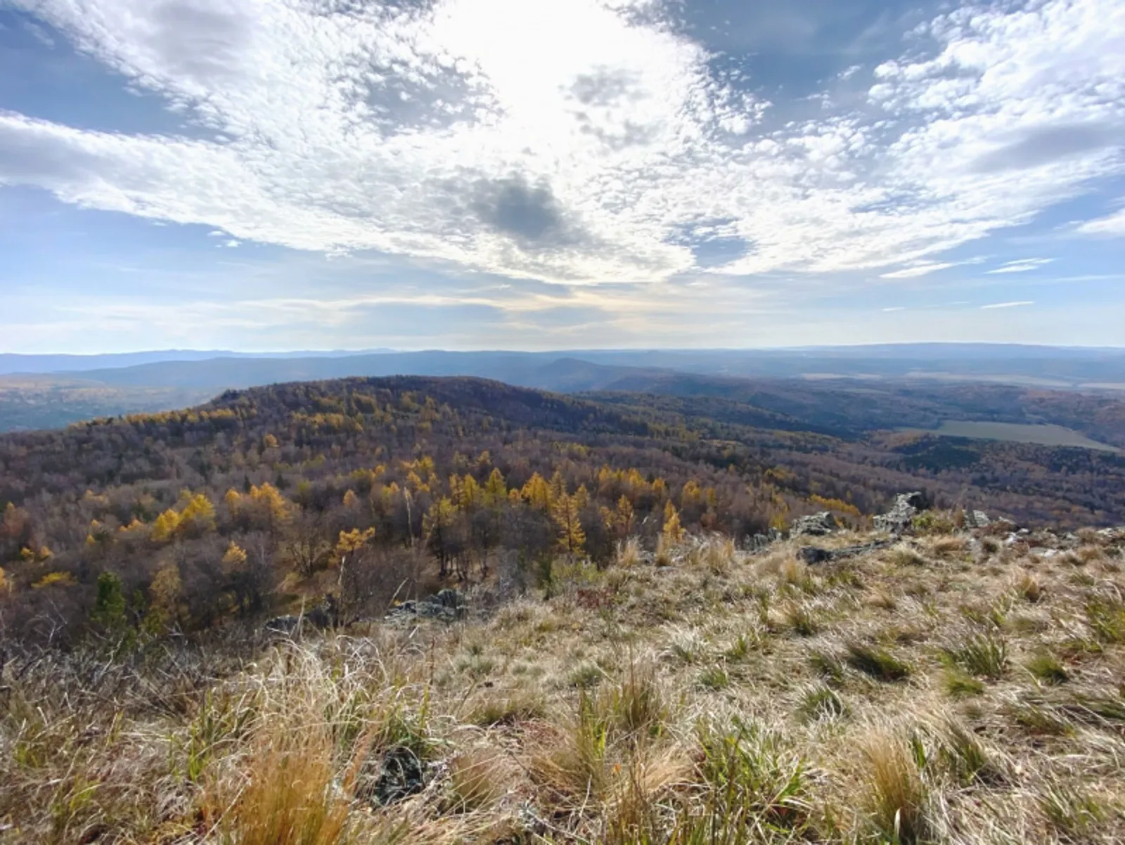 Фото автора.