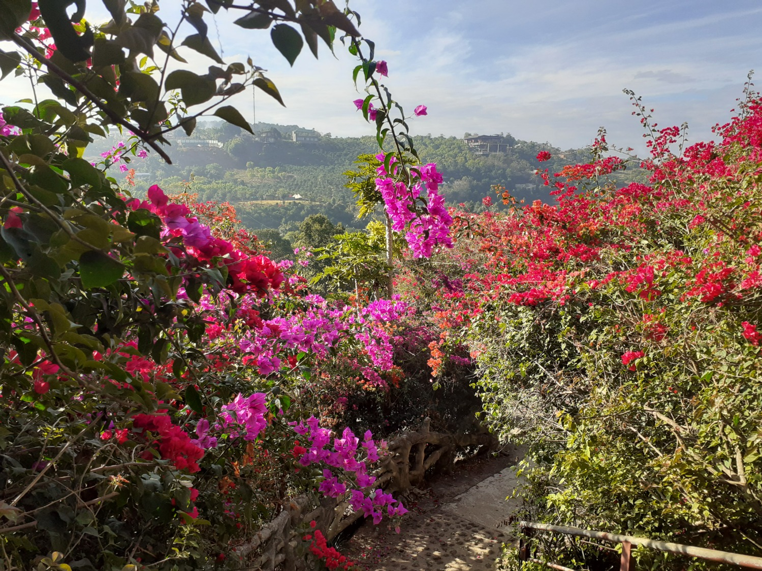 Владимира Шакиева. «Общественная электронная газета».