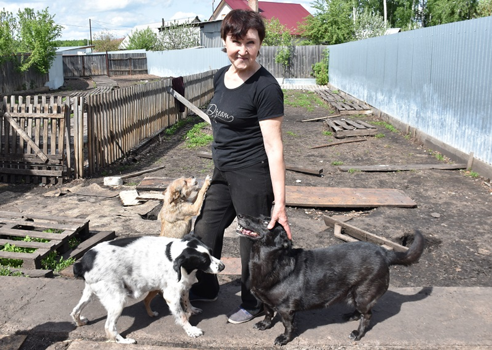 Фото автора.