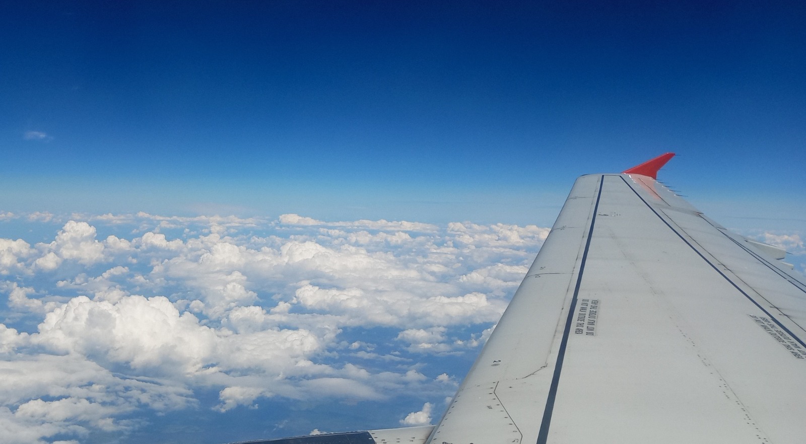 Евгении Сюткиной. «Общественная электронная газета».