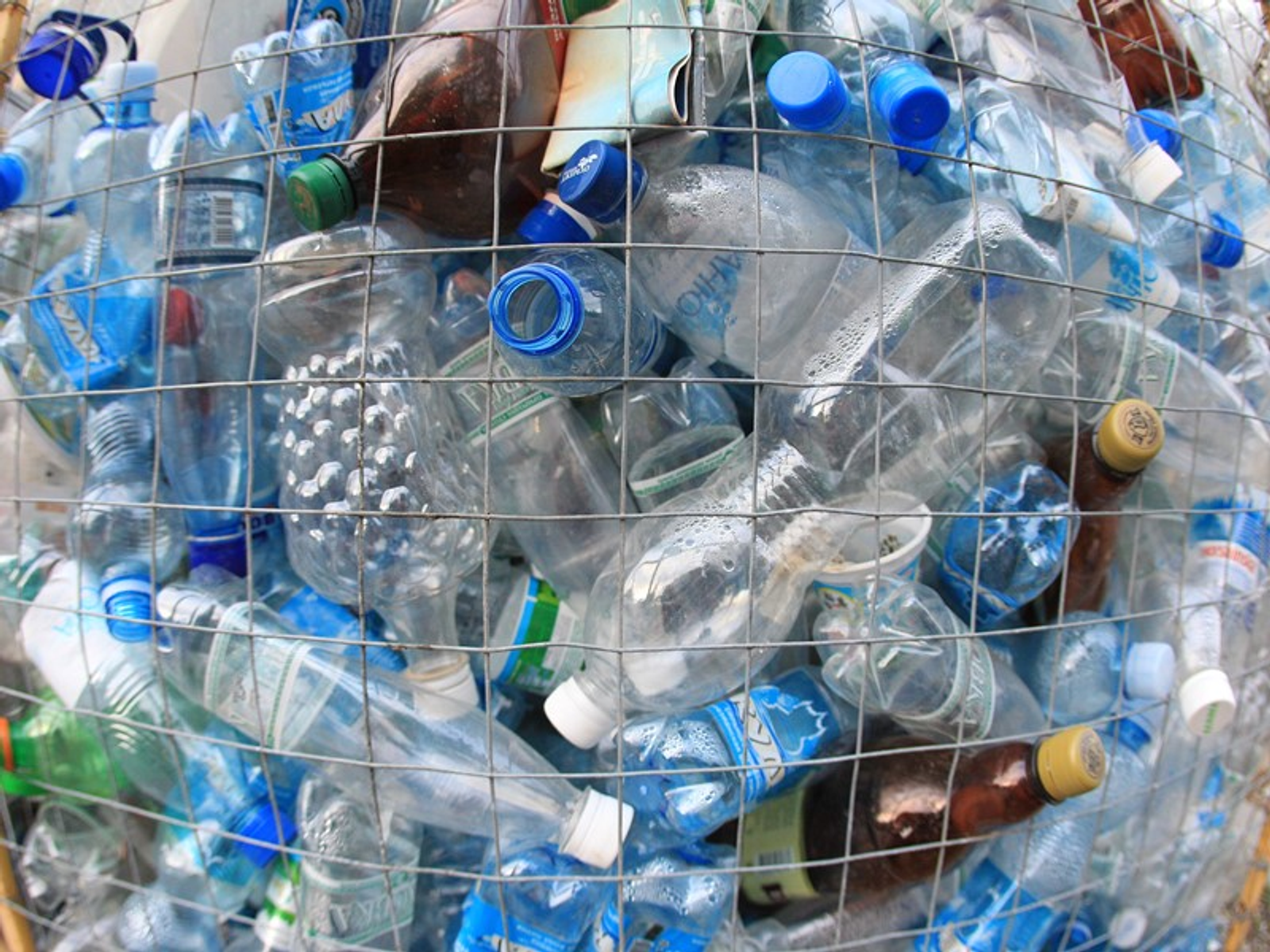 Фото Олега Яровикова.