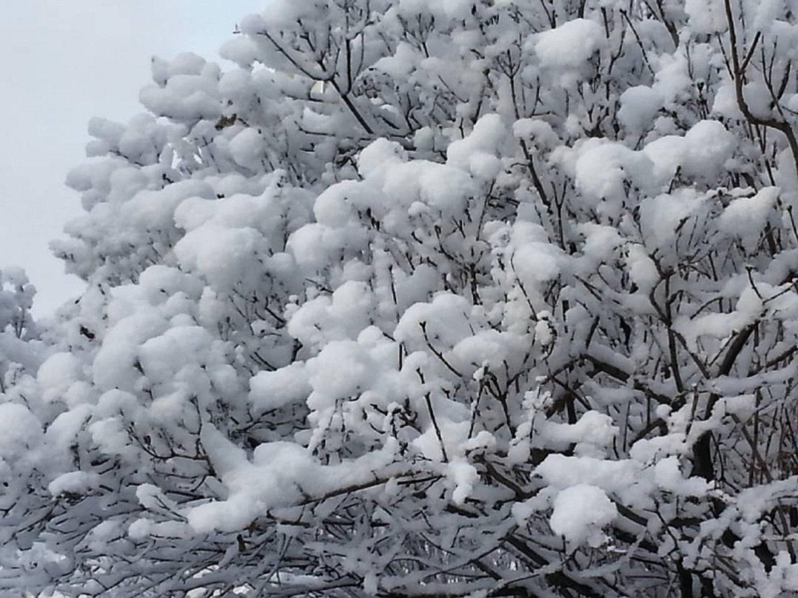 Фото Дарьи Святохиной.