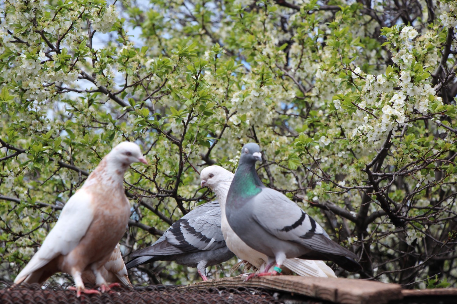Евгении Сюткиной.