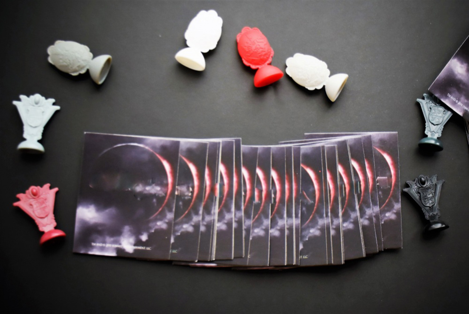 Фото Елены Колоколовой.