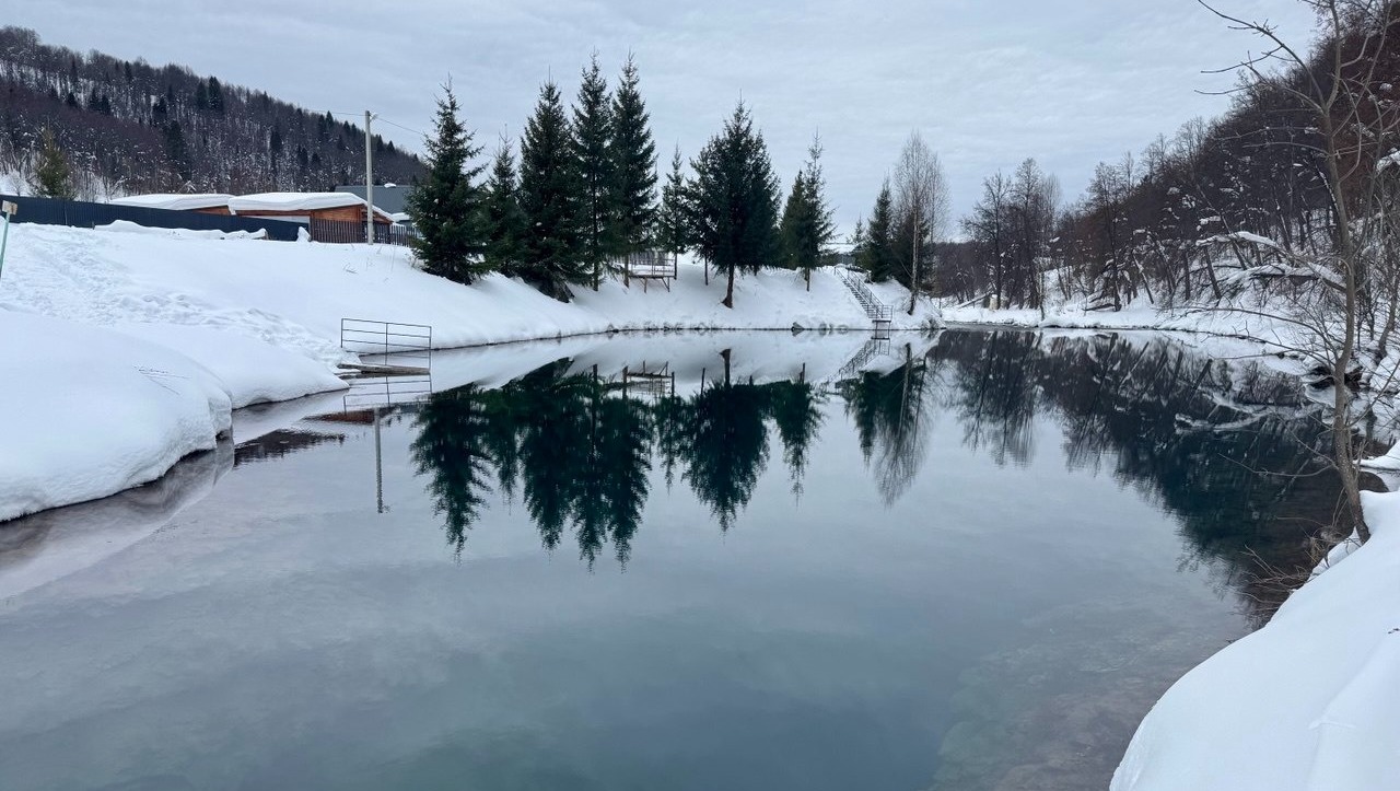 Елены Колоколовой. «Общественная электронная газета».