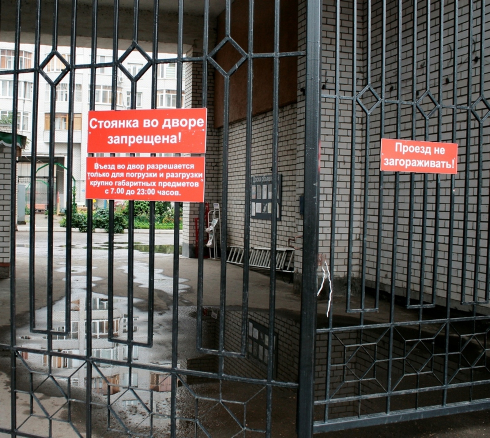 Фото автора.