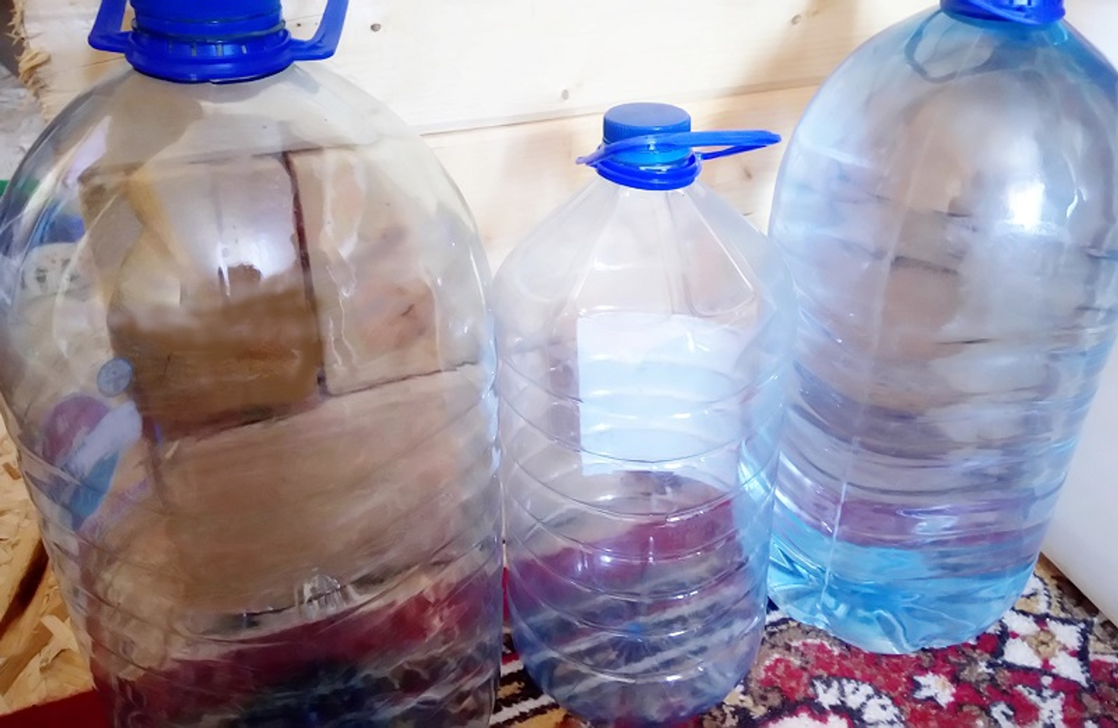 Фото Васили Саитовой.