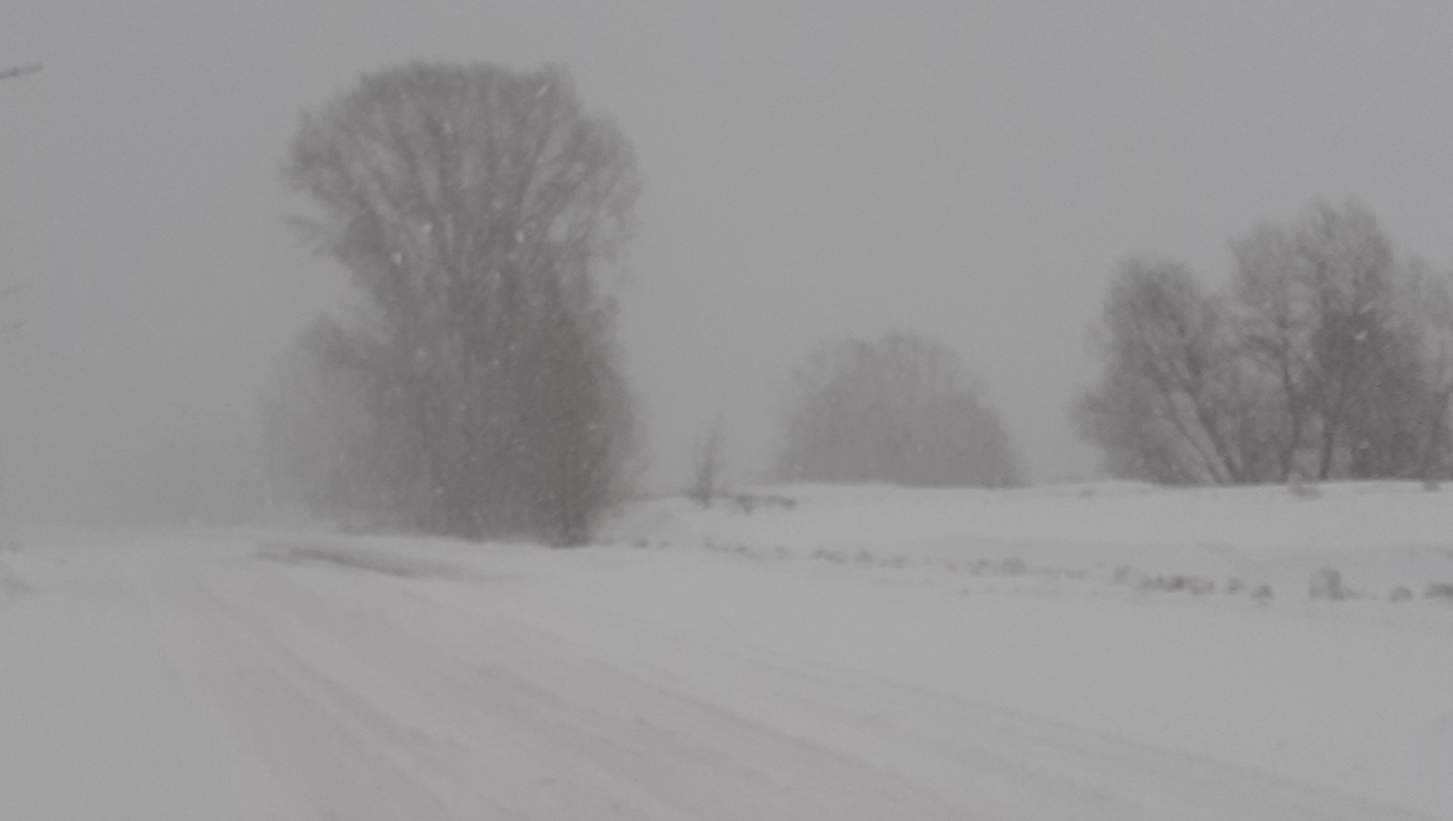 Владимира Шакиева. «Общественная электронная газета».