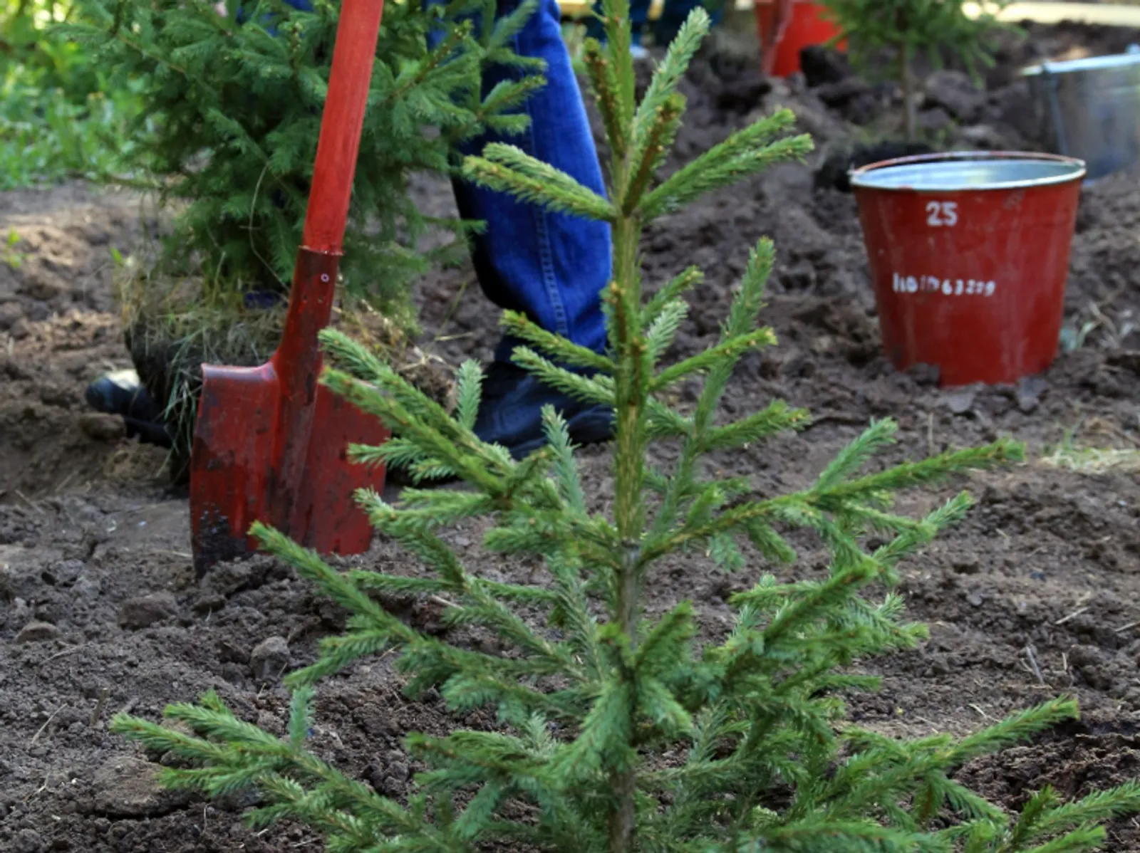 Фото Андрея Старостина.
