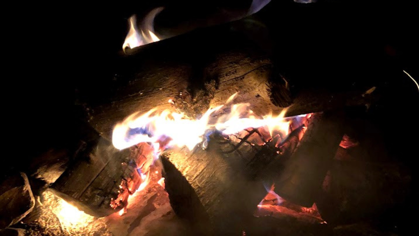 Елены Колоколовой.