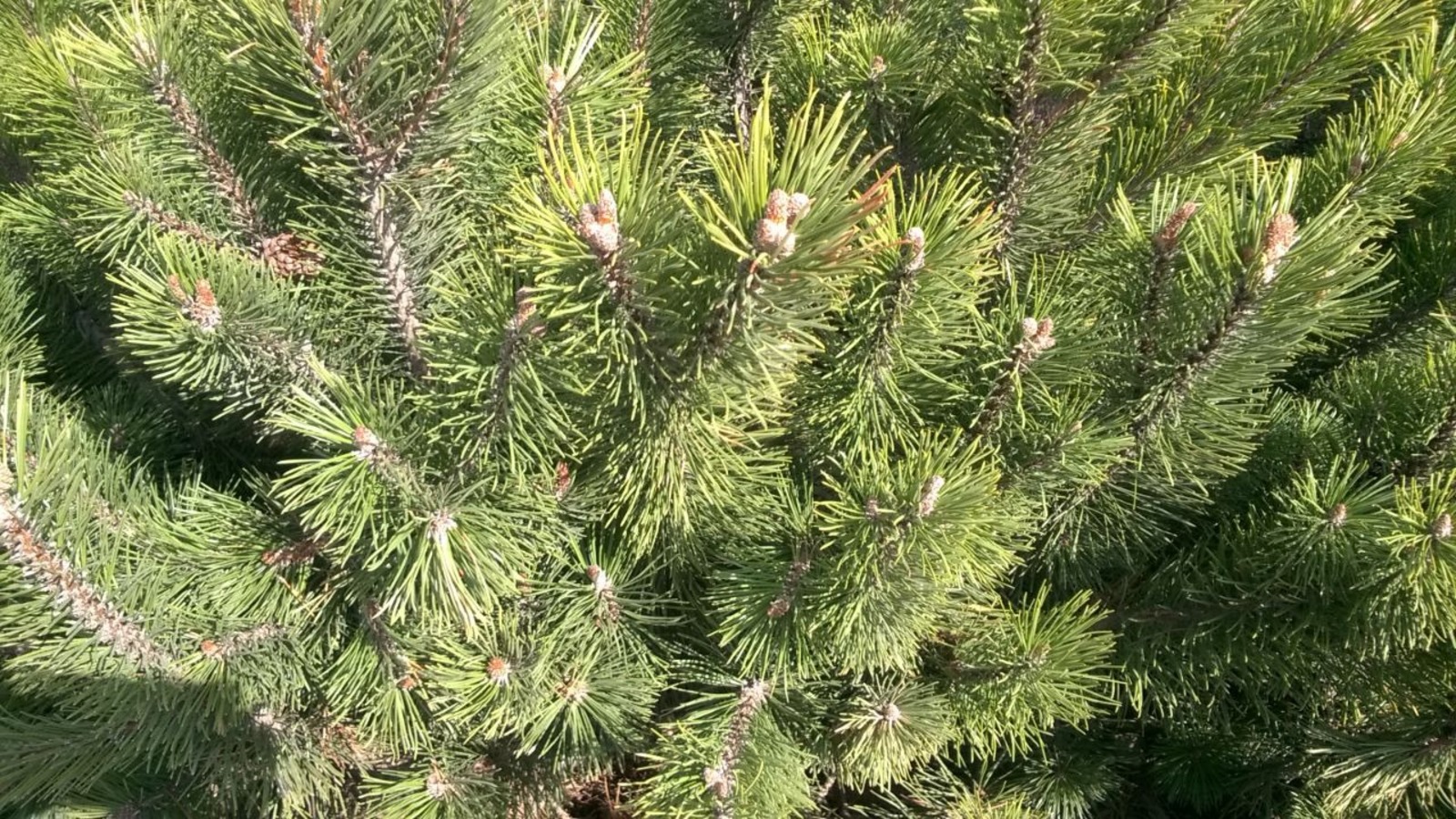 Дарьи Святохиной.