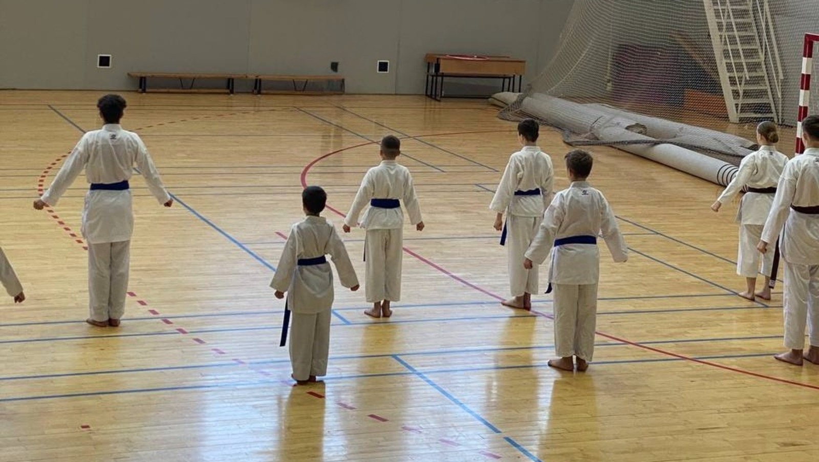 Елены Колоколовой.  «Общественная электронная газета».