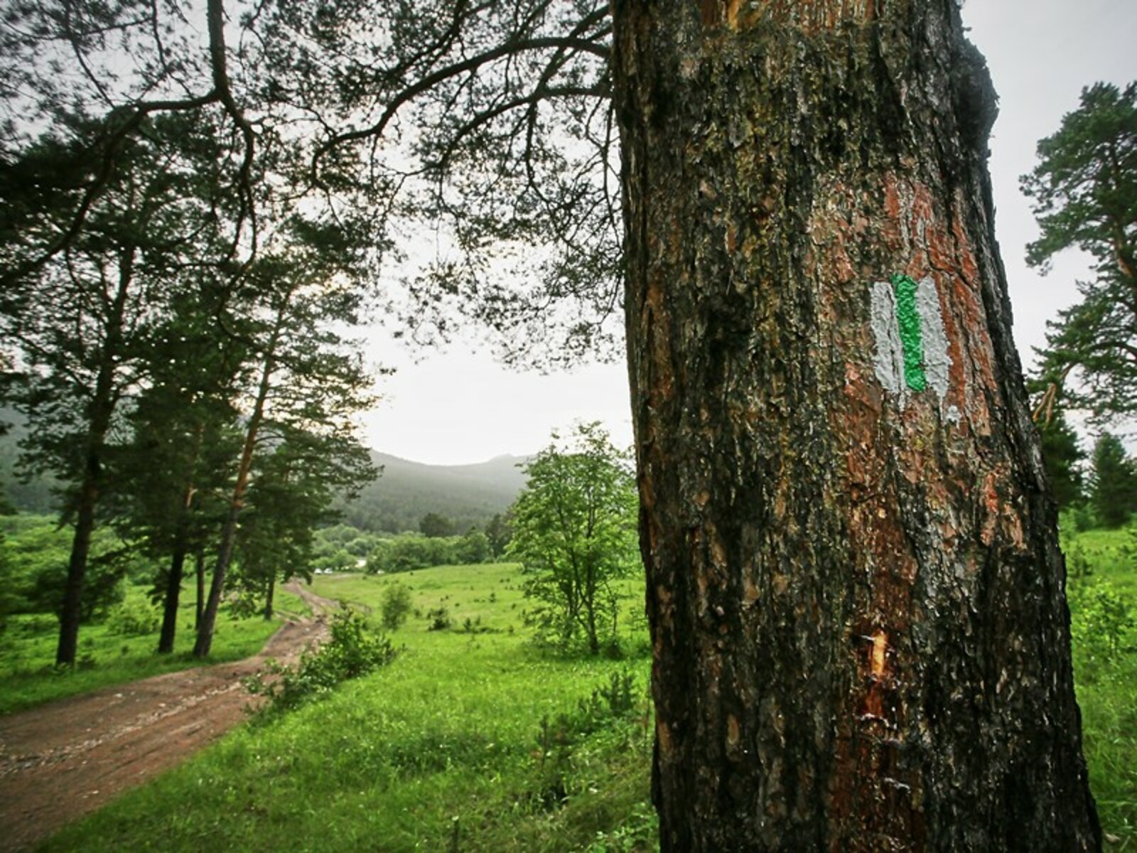 Фото Екатерины Петропавловской. Предоставлено Раисом Габитовым.