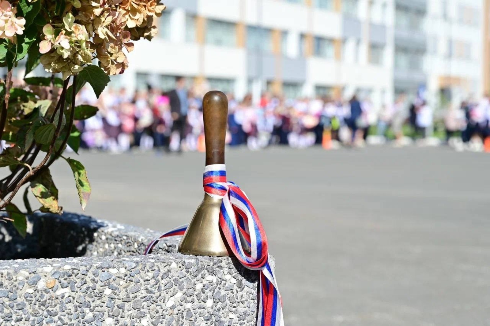 Telegram, личная страница Андрея Назарова.