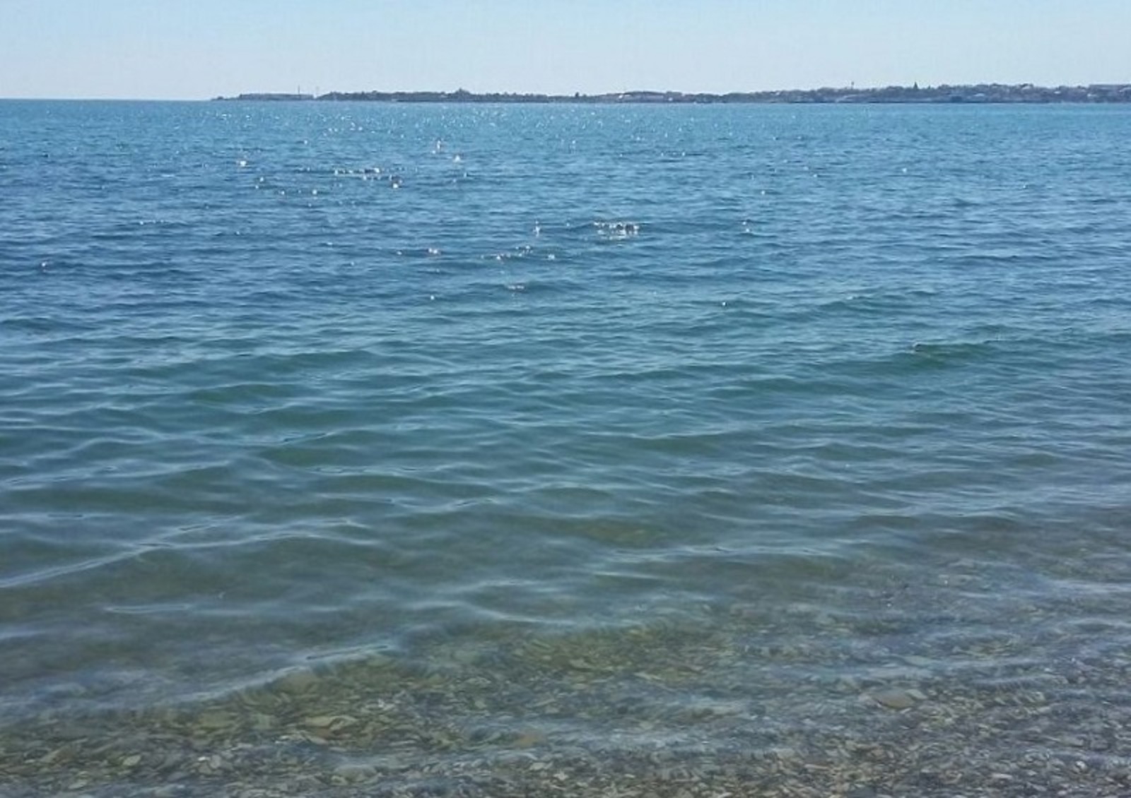 Фото Васили Саитовой.