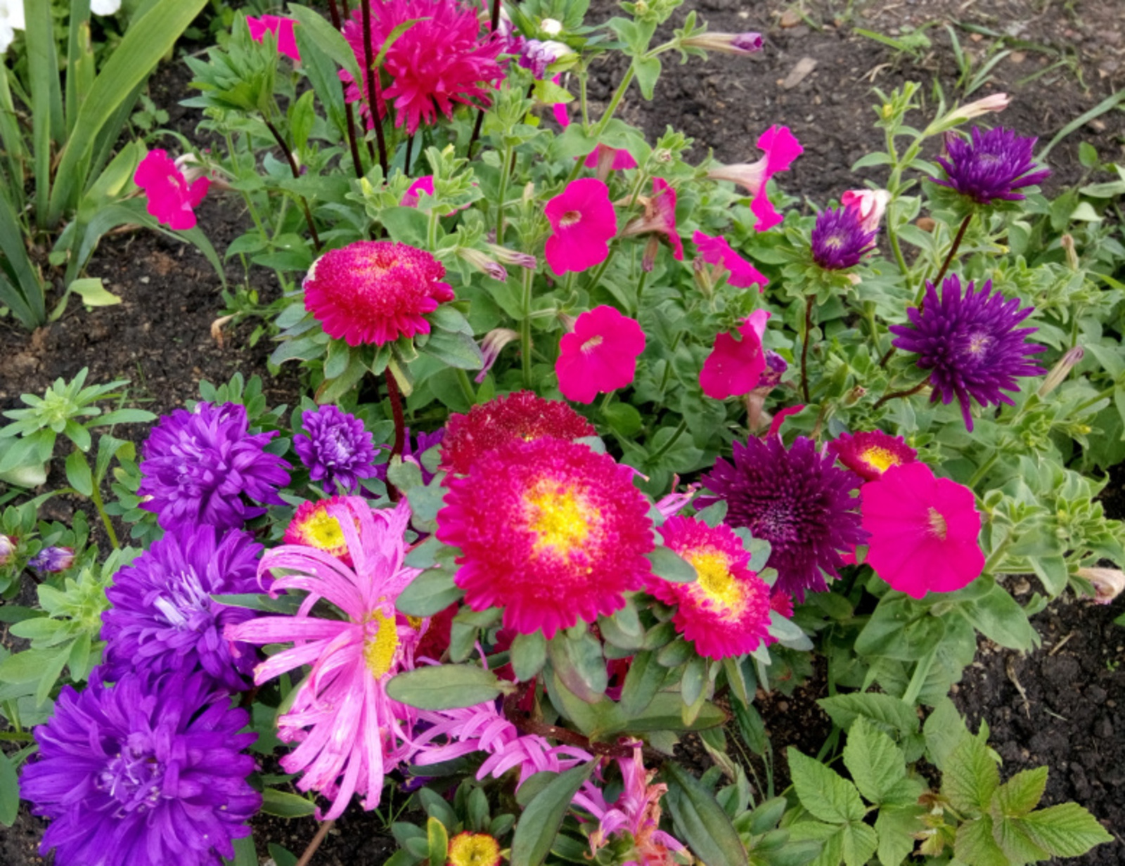 Фото Васили Саитовой.