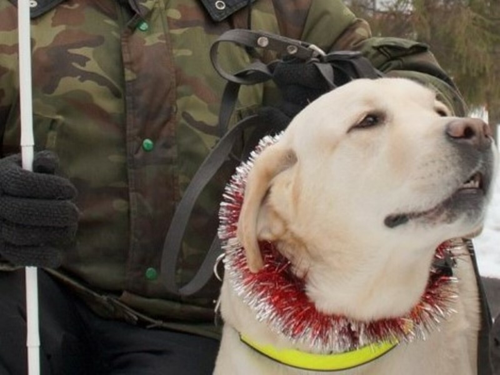 Фото предоставлено Гюльнарой Сахибзадаевой.