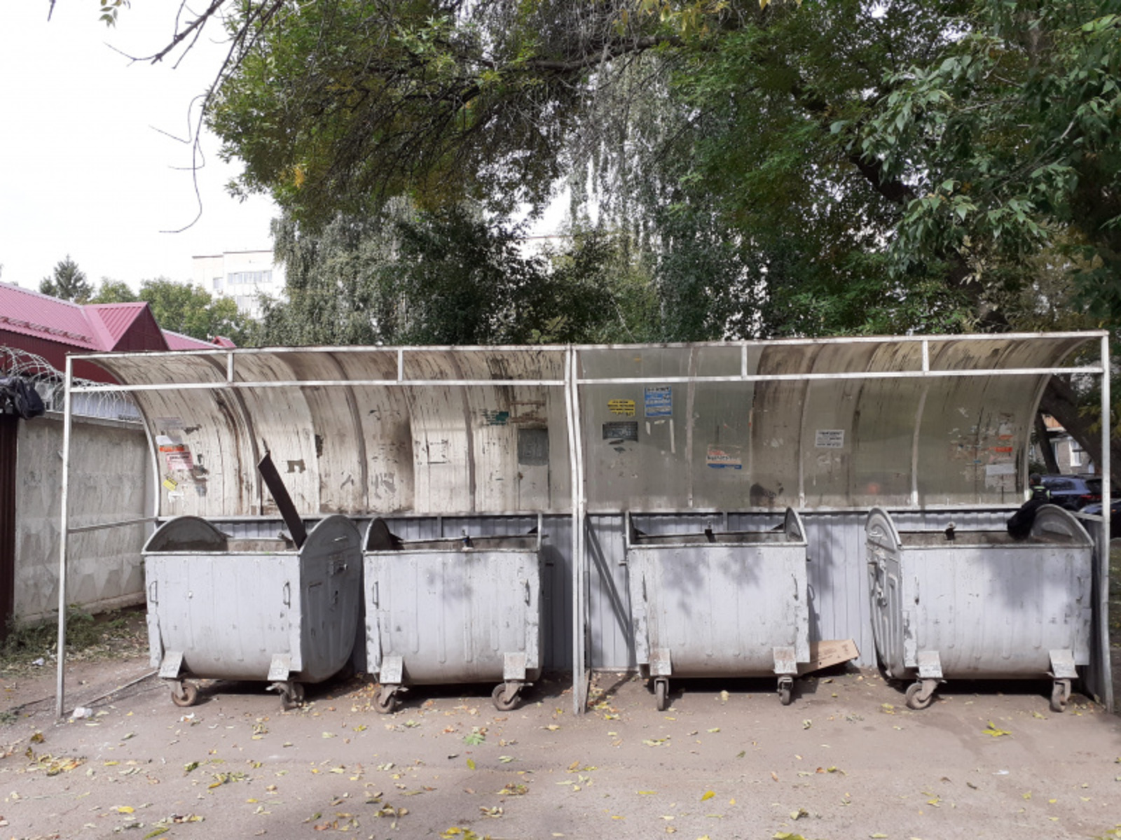 Фото автора.