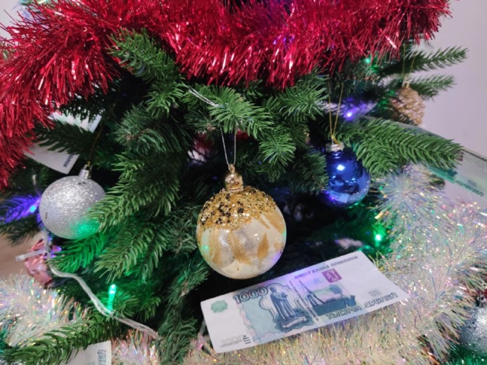 Дарьи Святохиной. «Общественная электронная газета».