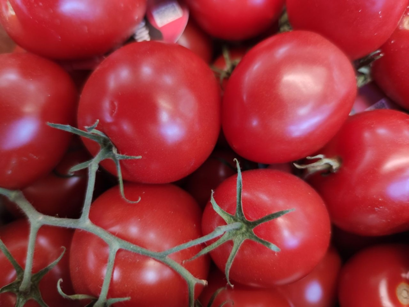 Дарьи Святохиной.