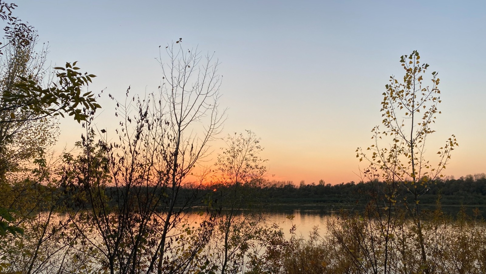 Елены Колоколовой.