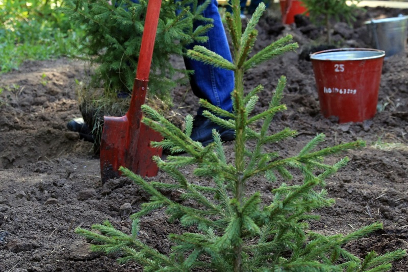 Фото Андрея Старостина.