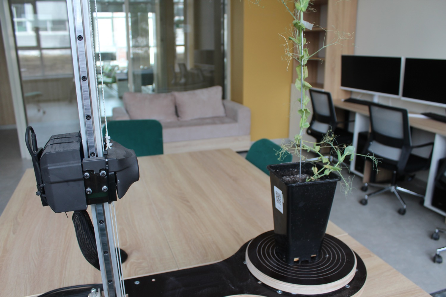 Дарьи Святохиной. «Общественная электронная газета».