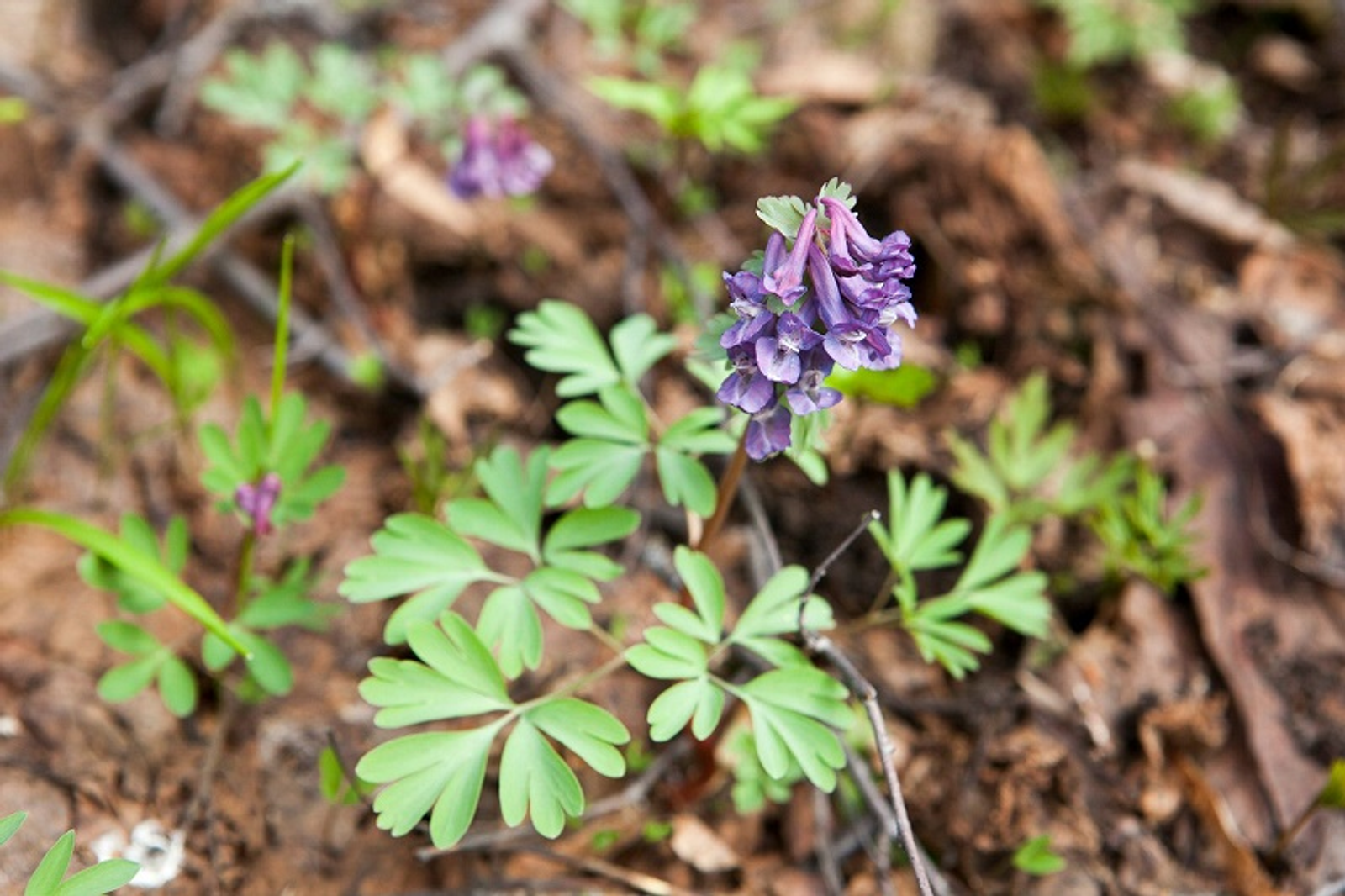 Фото Фаиля Абсатарова.