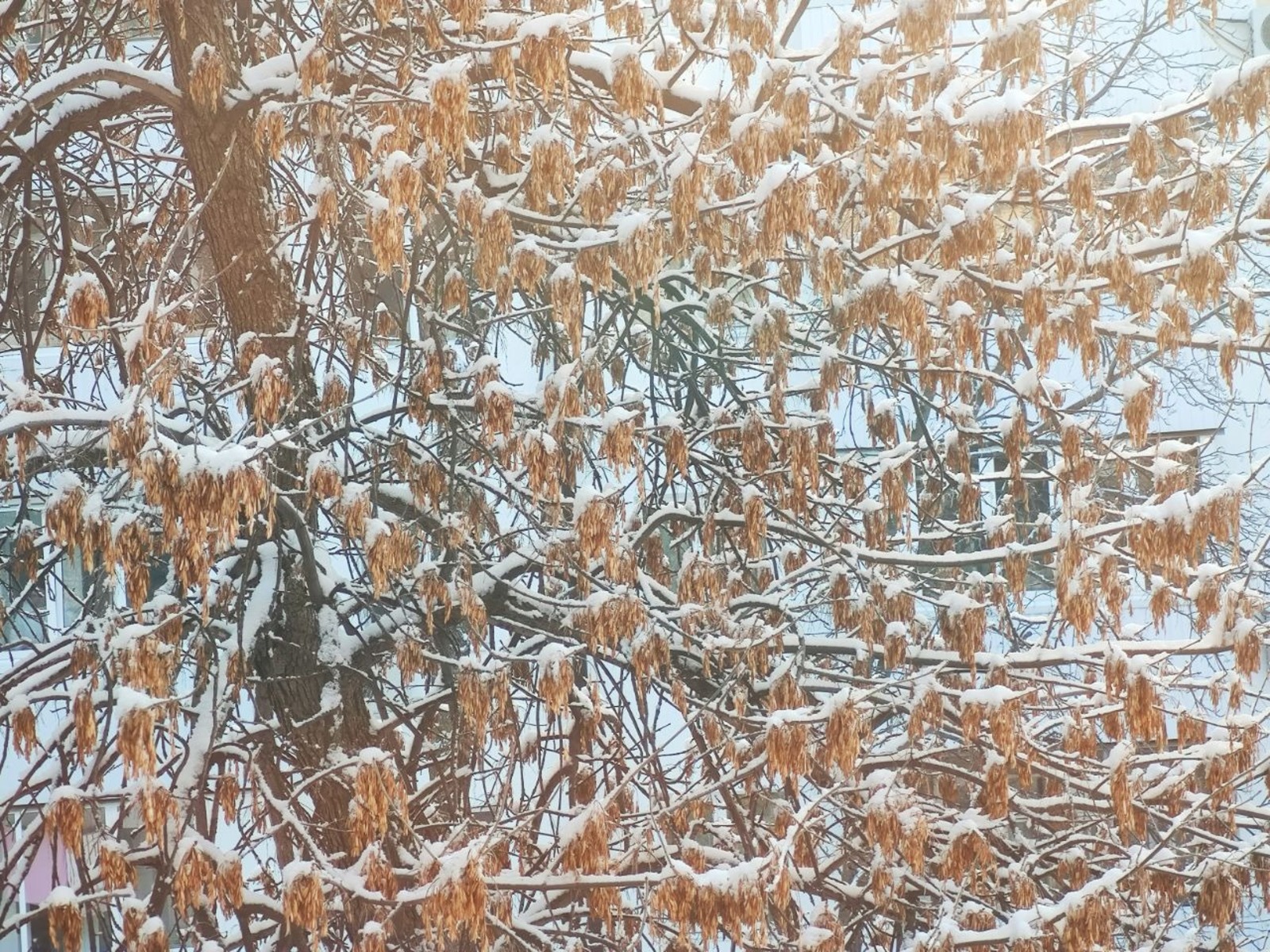 Дарьи Святохиной.