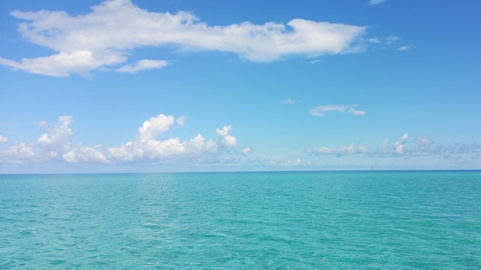 Евгении Сюткиной.