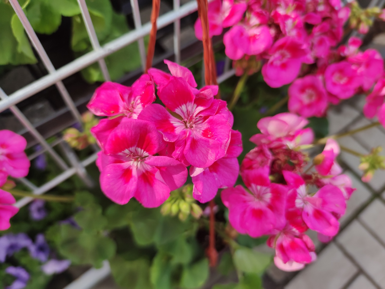 Дарьи Святохиной.