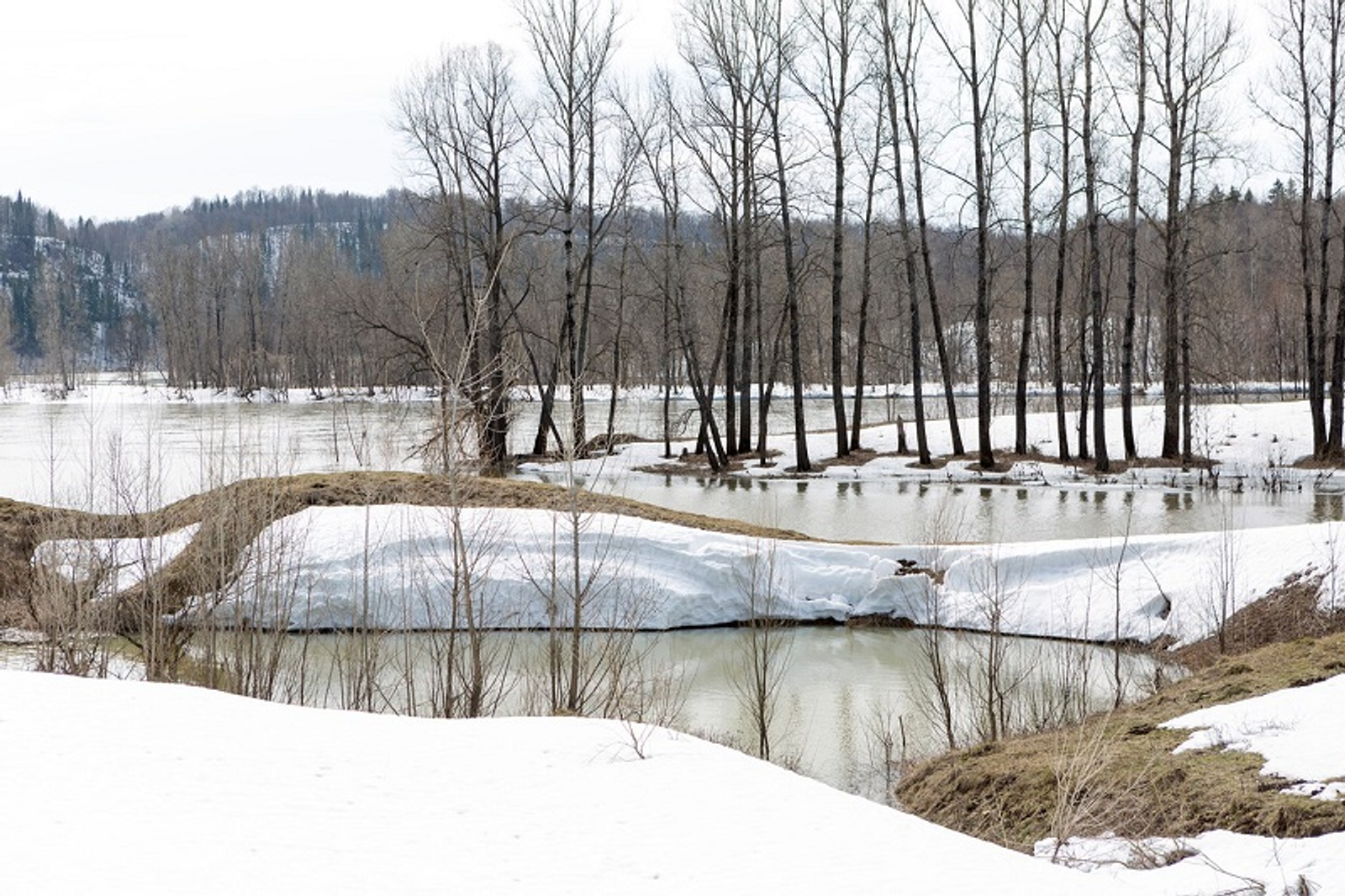 Фото Фаиля Абсатарова.