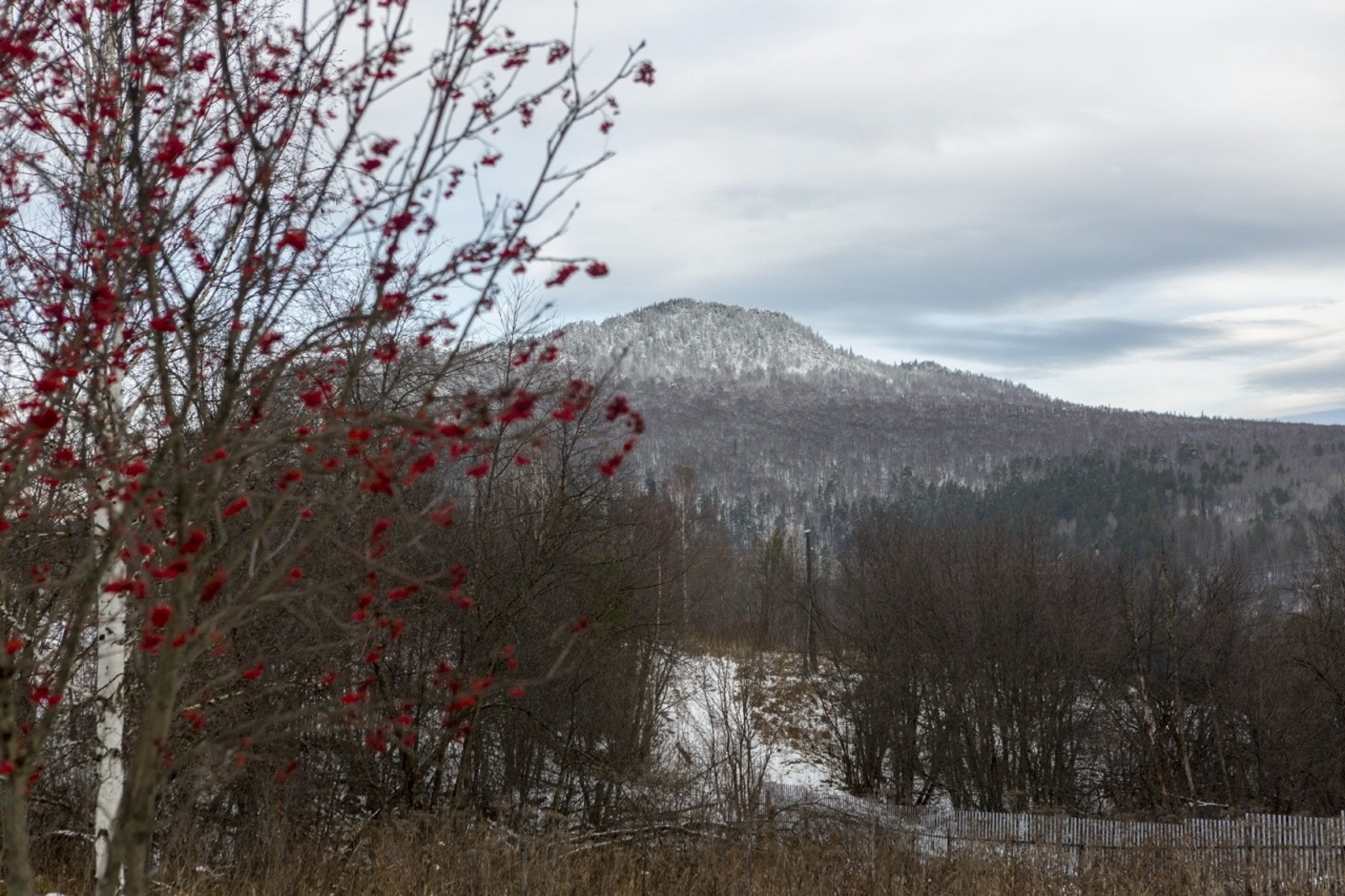 Евгении Сюткиной.