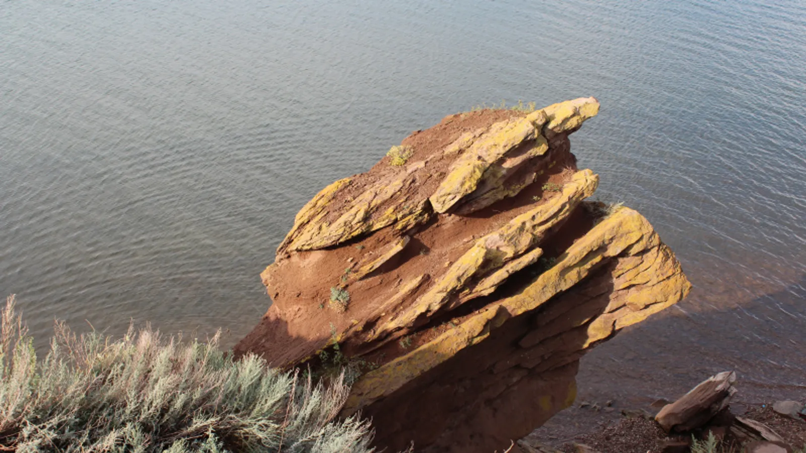 Фото автора.