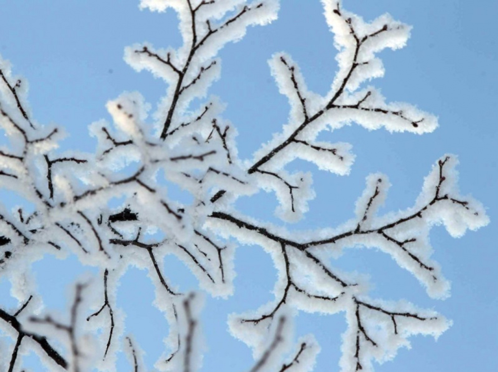 Фото Олега Яровикова.