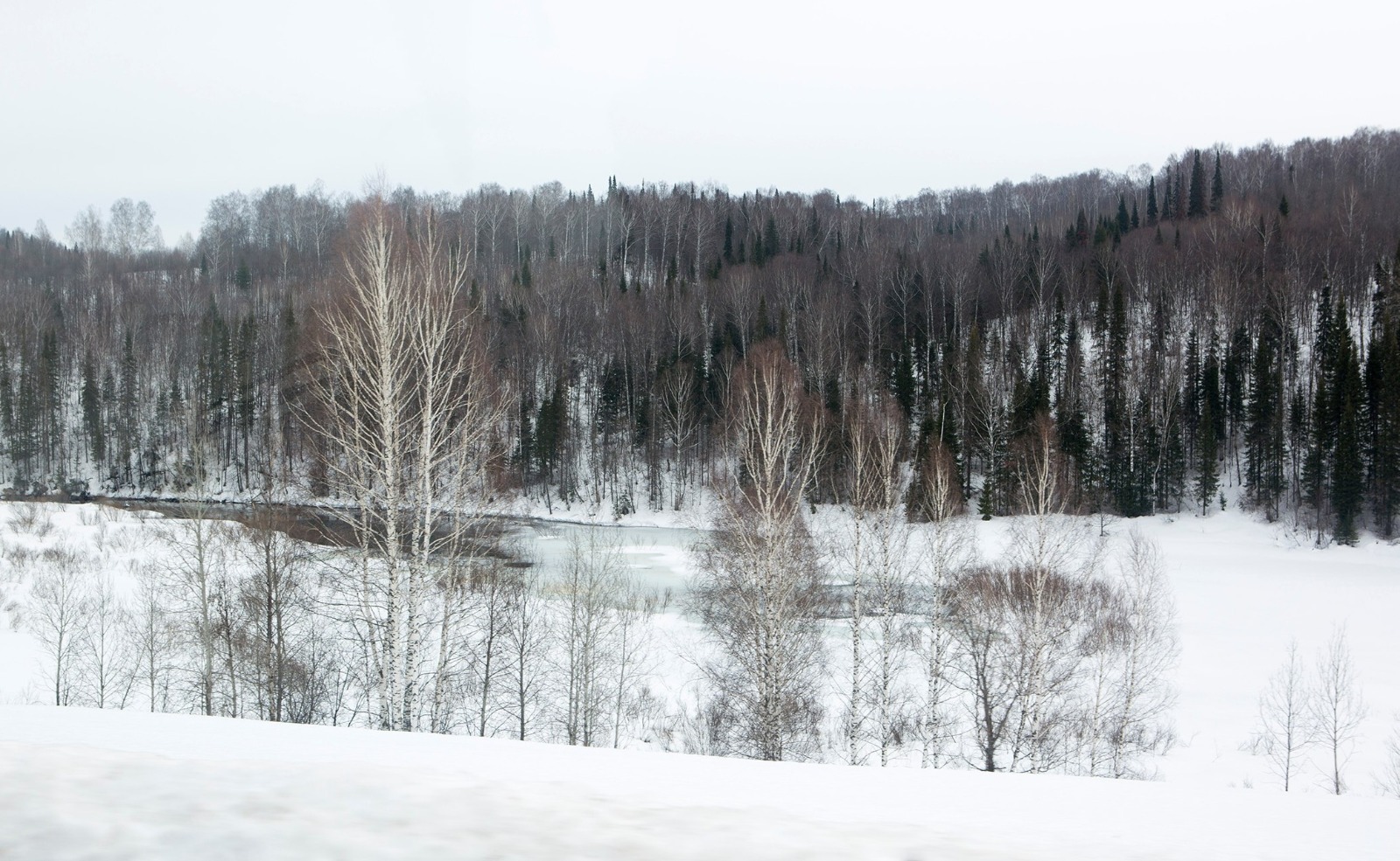 Евгении Сюткиной. «Общественная электронная газета».