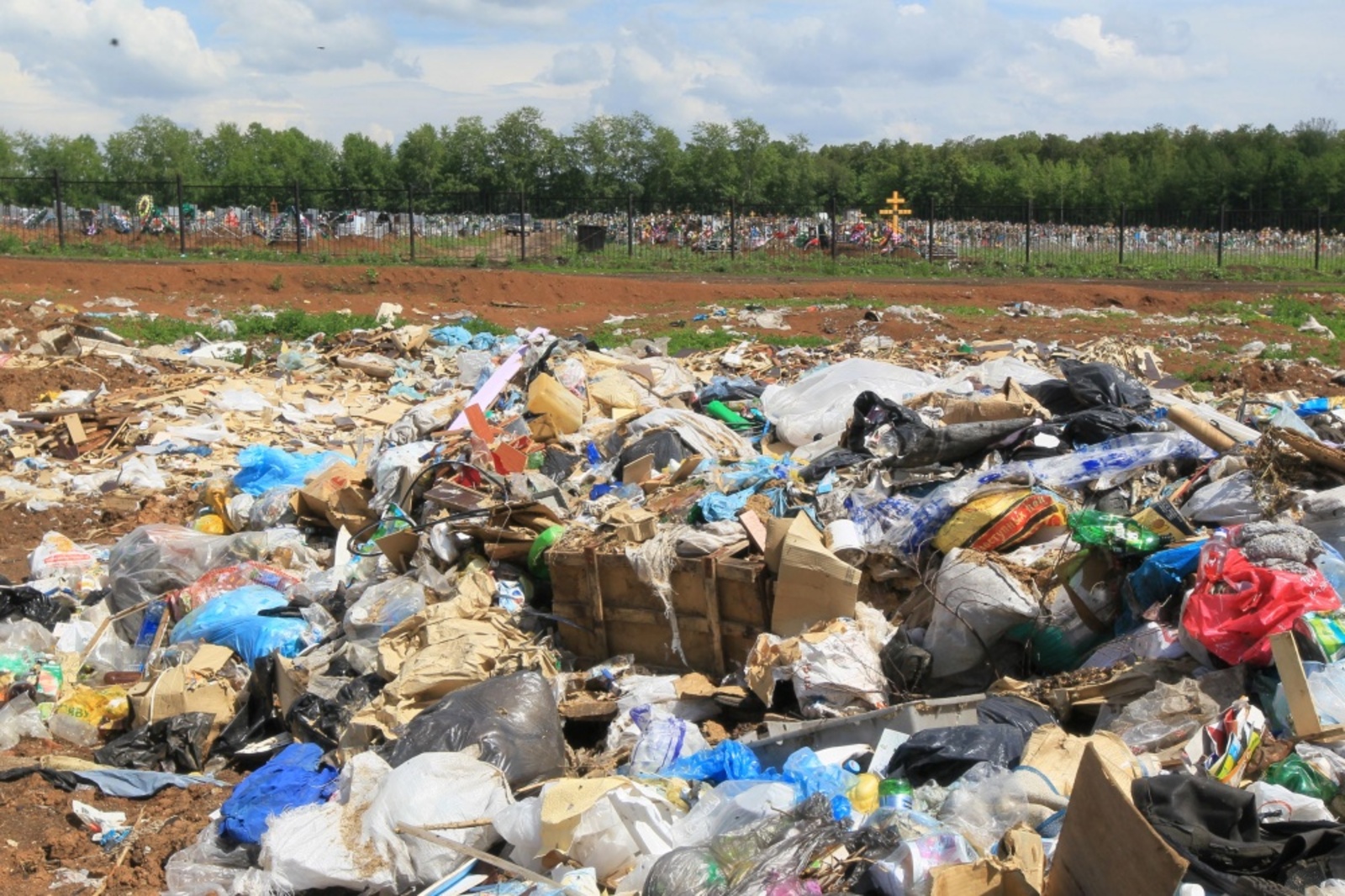 Фото Андрея Старостина.