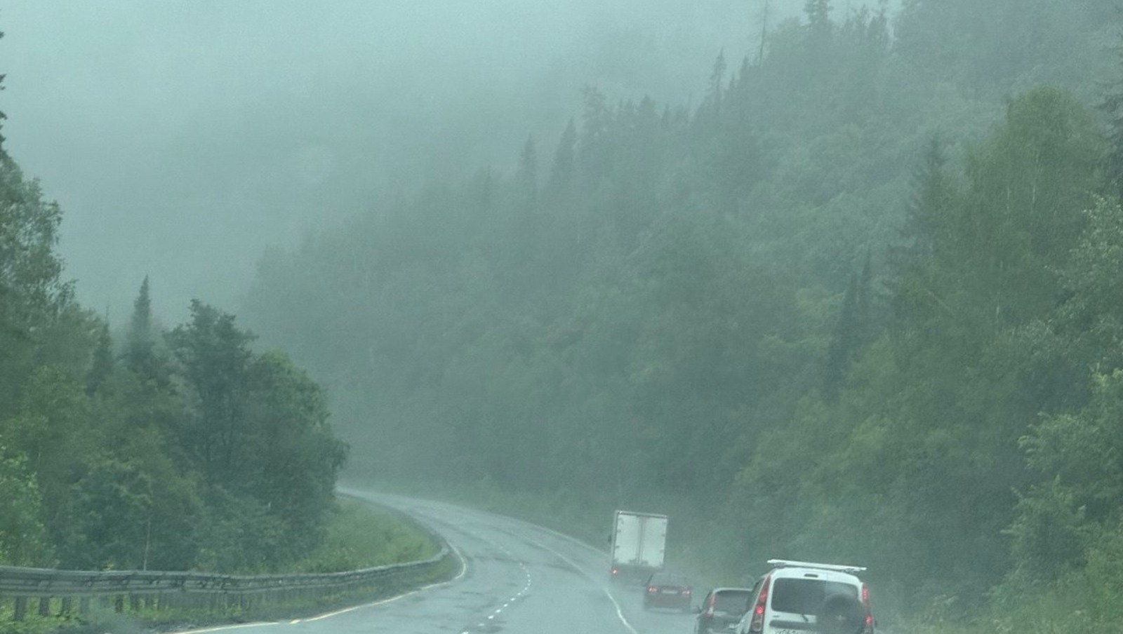 Елены Колоколовой.