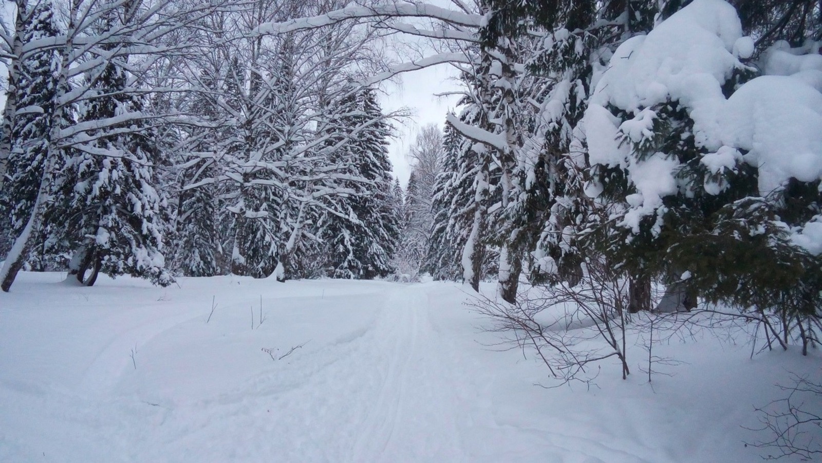 Евгении Сюткиной.