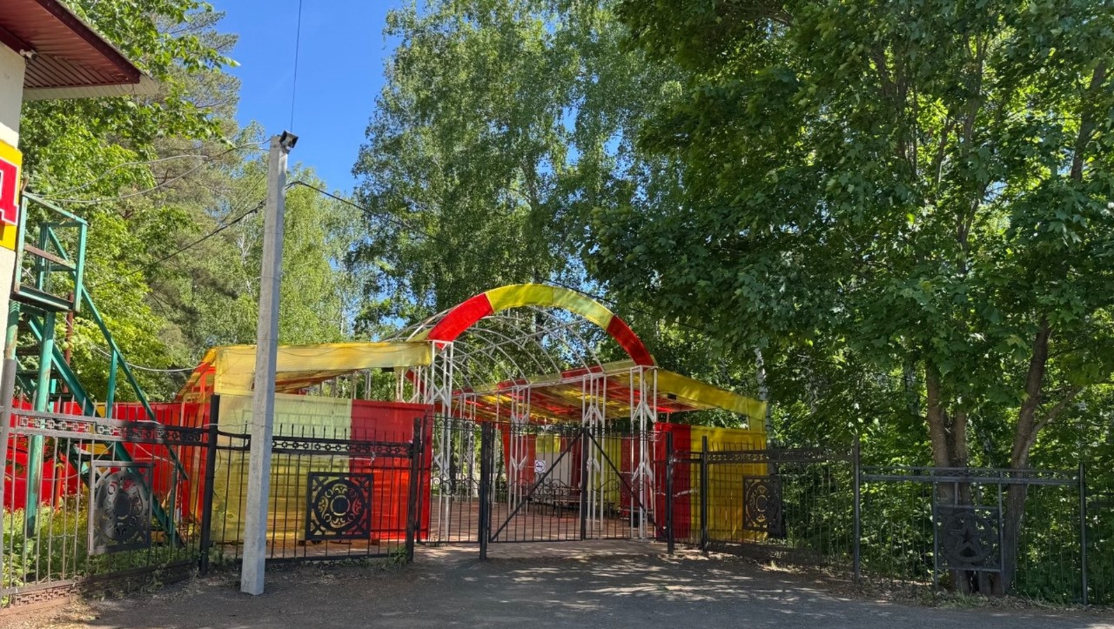 Елены Колоколовой.