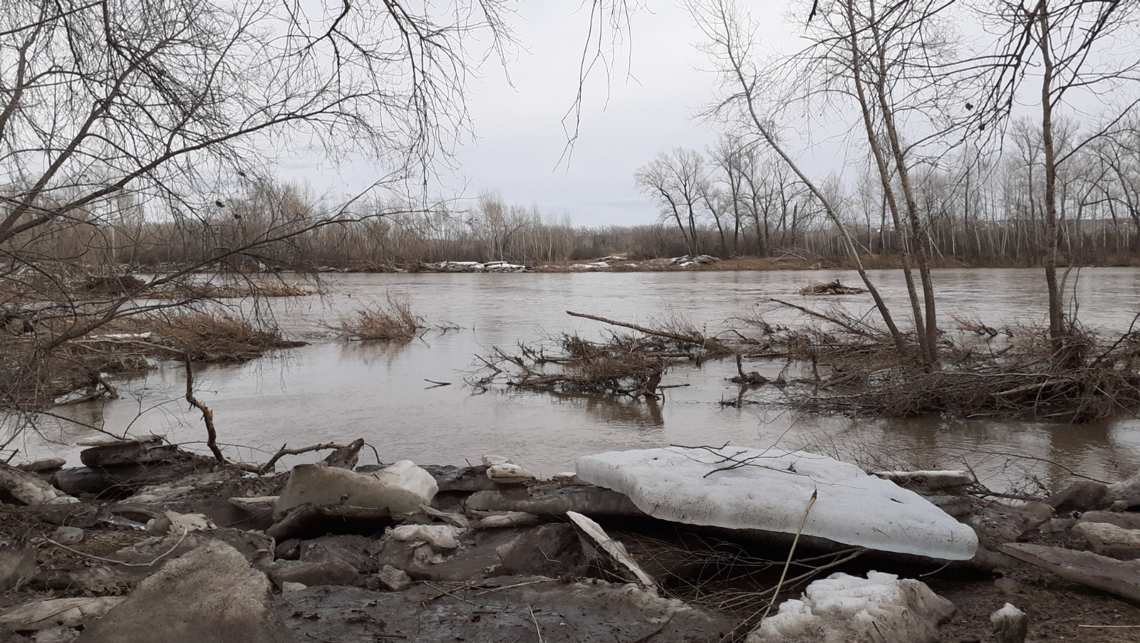 Владимира Шакиева. «Общественная электронная газета».