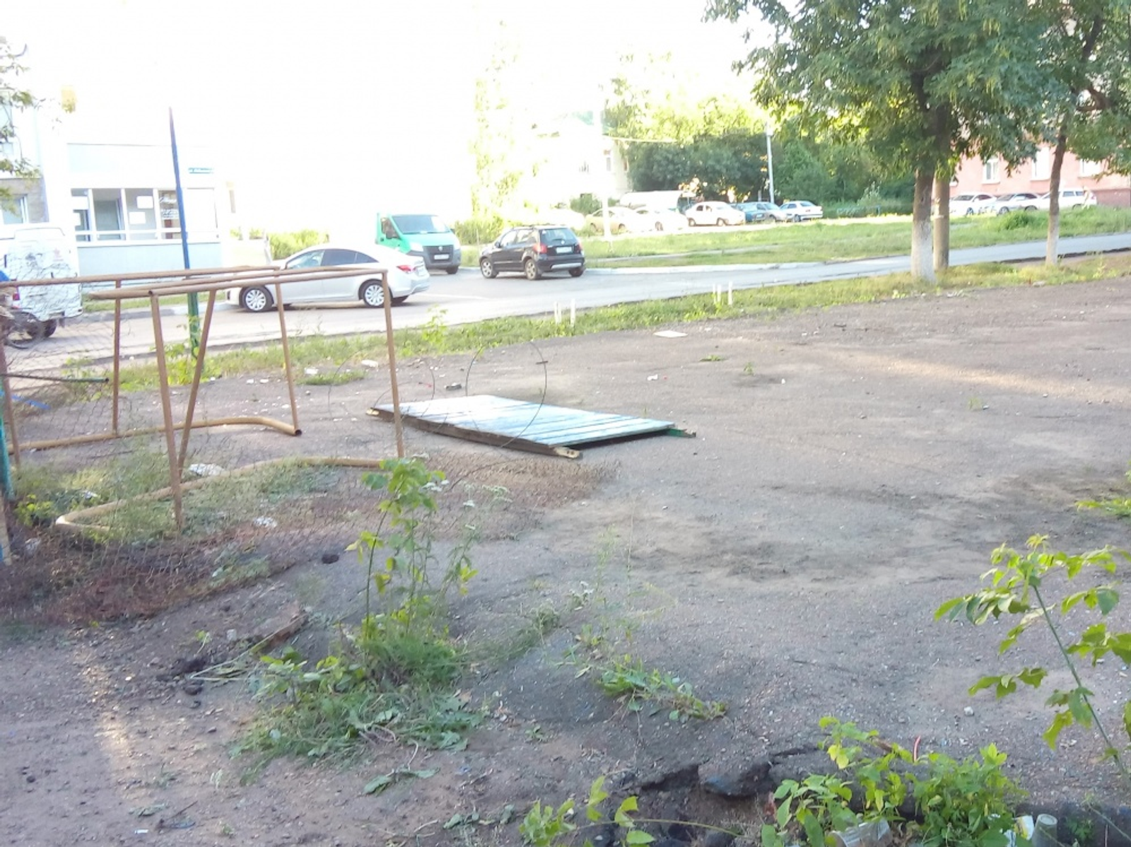 Фото автора.