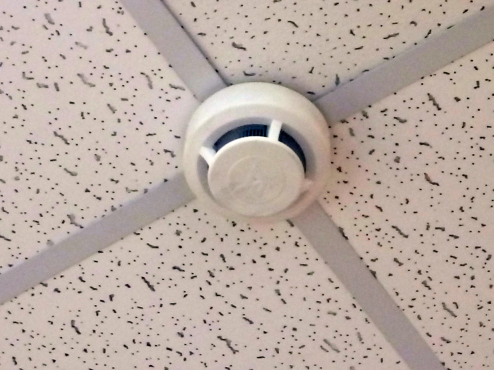 Фото Васили Саитовой.