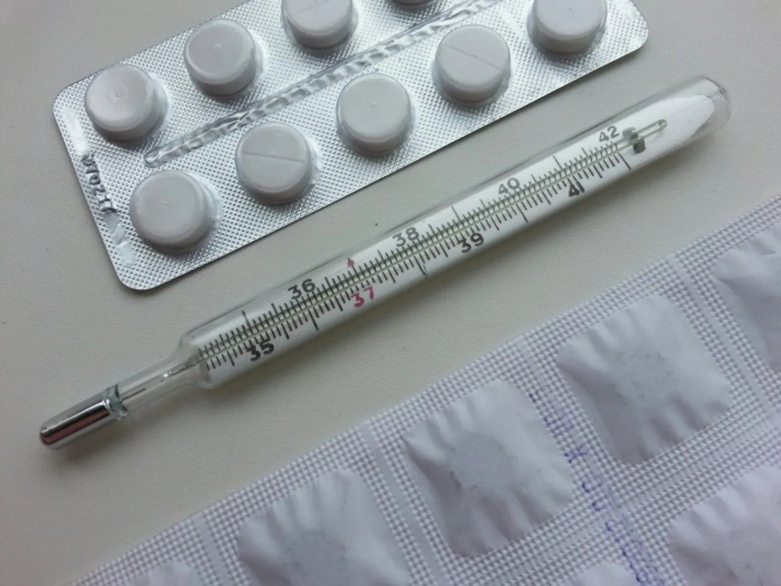 Фото Елены Колоколовой.