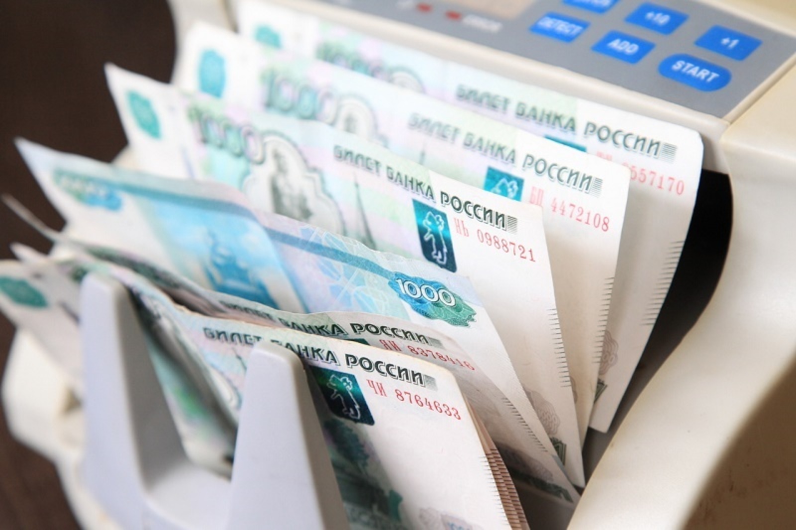 Фото Андрея Старостина.