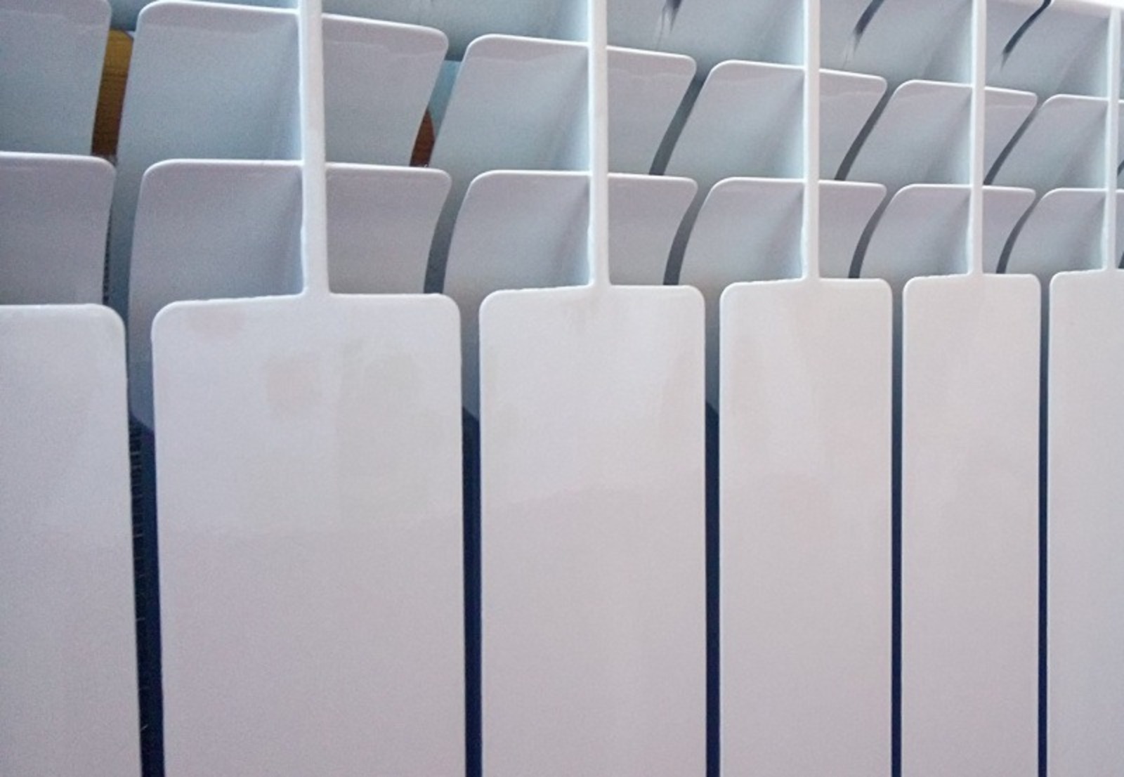 Васили Саитовой.