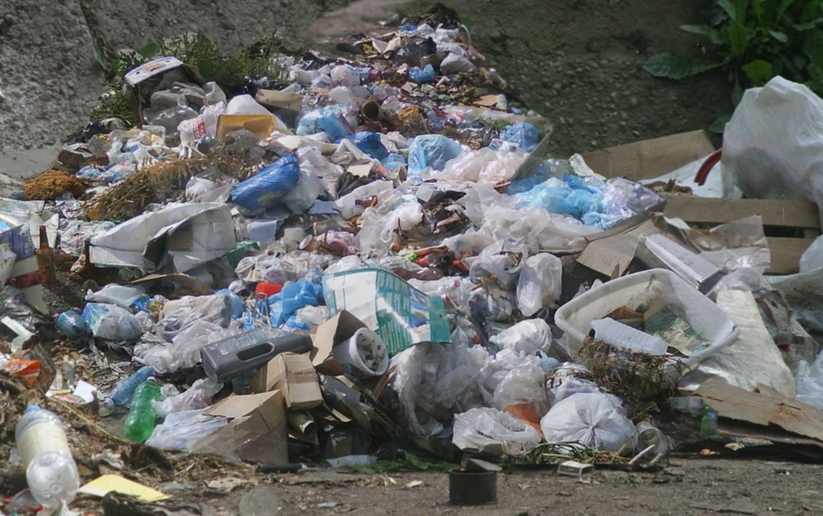 Фото Андрея Старостина.