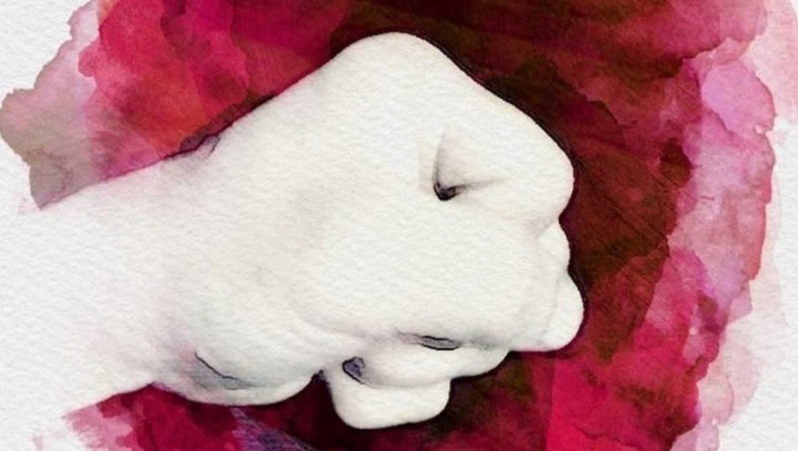 рисунок Раиля Латыпова. "Общественная электронная газета".