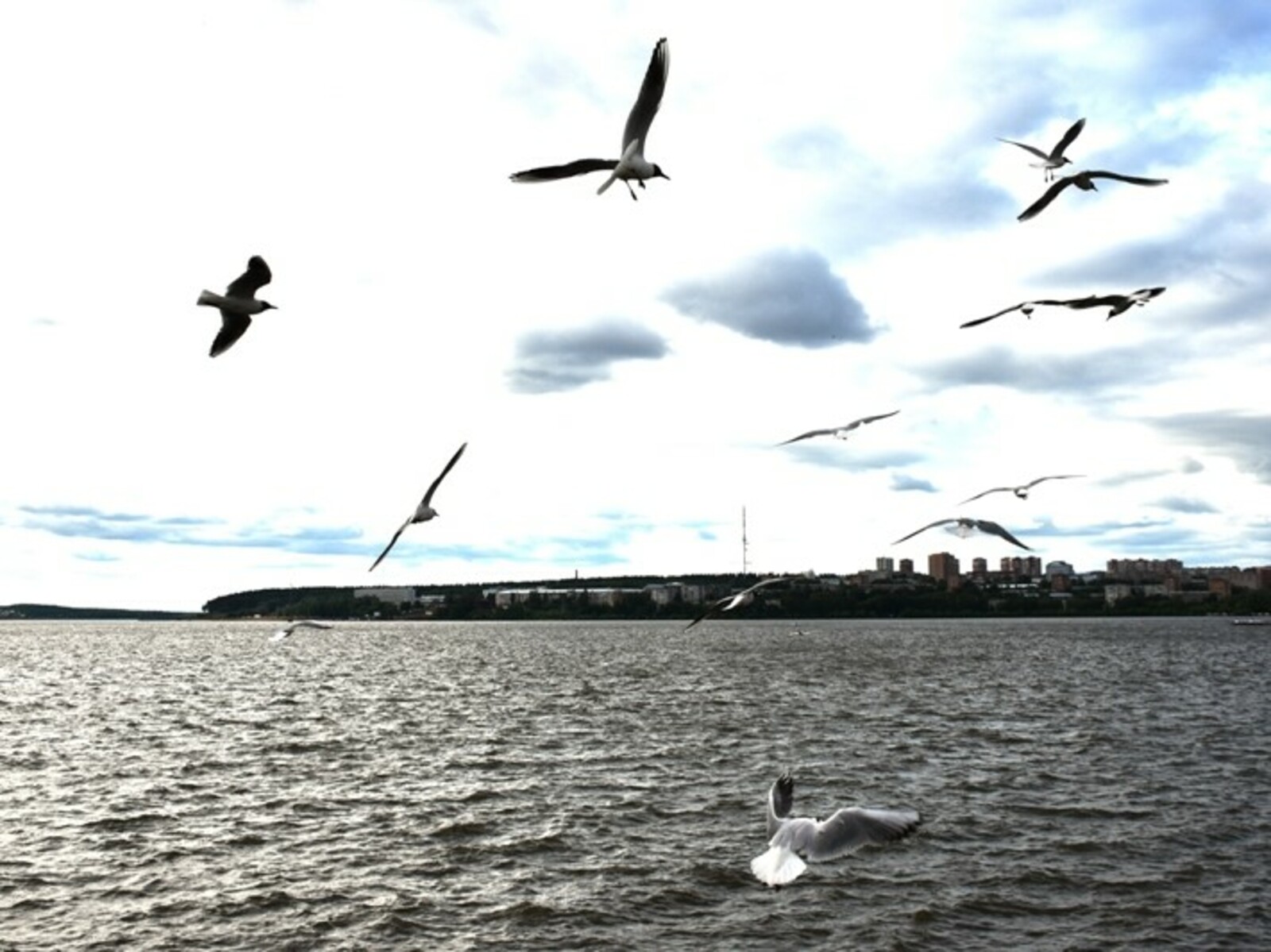 Фото Елены Колоколовой.