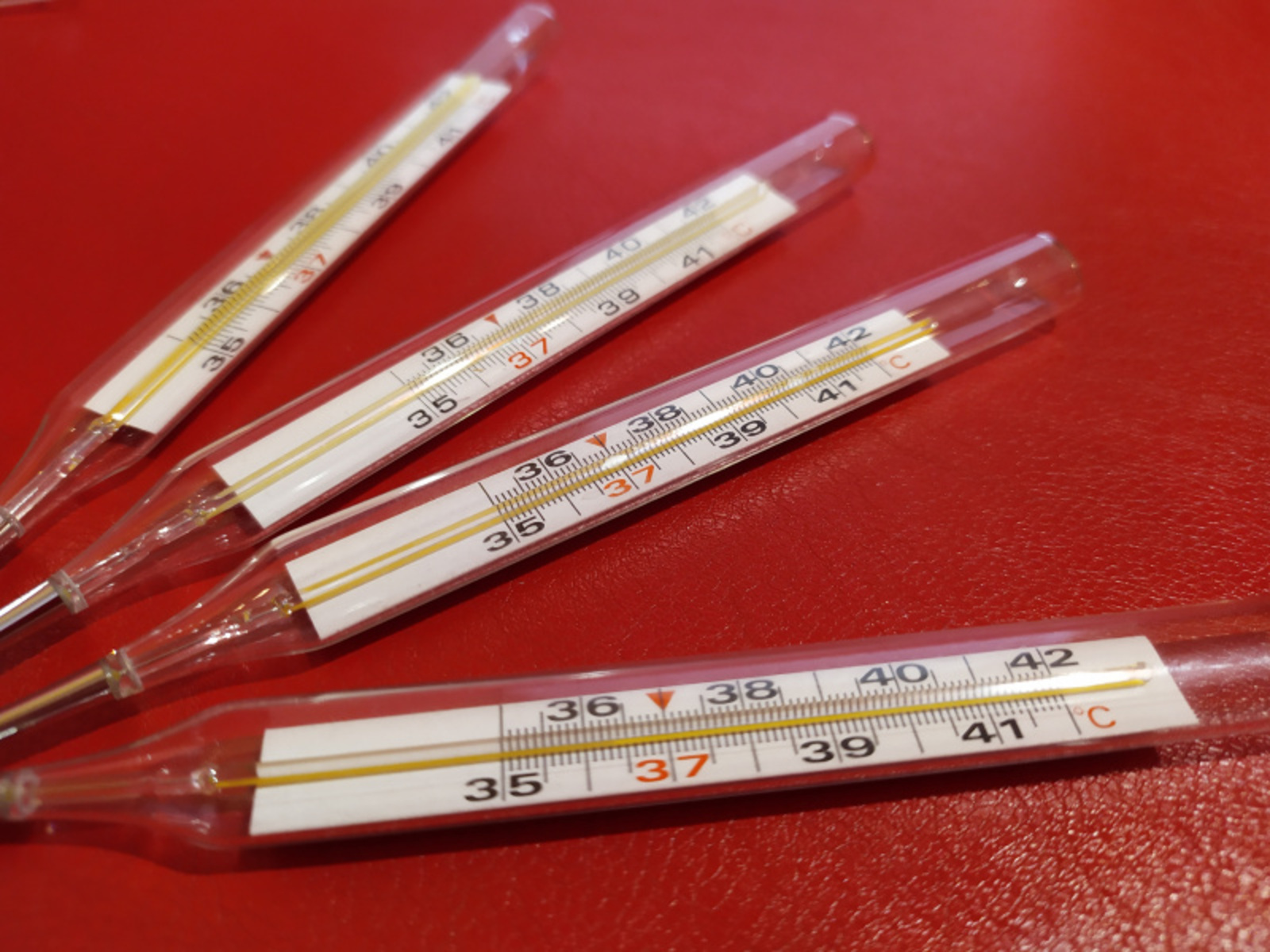 Фото Васили Саитовой.